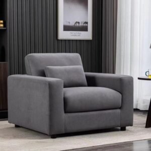 Fauteuil de Salon Moderne Gris